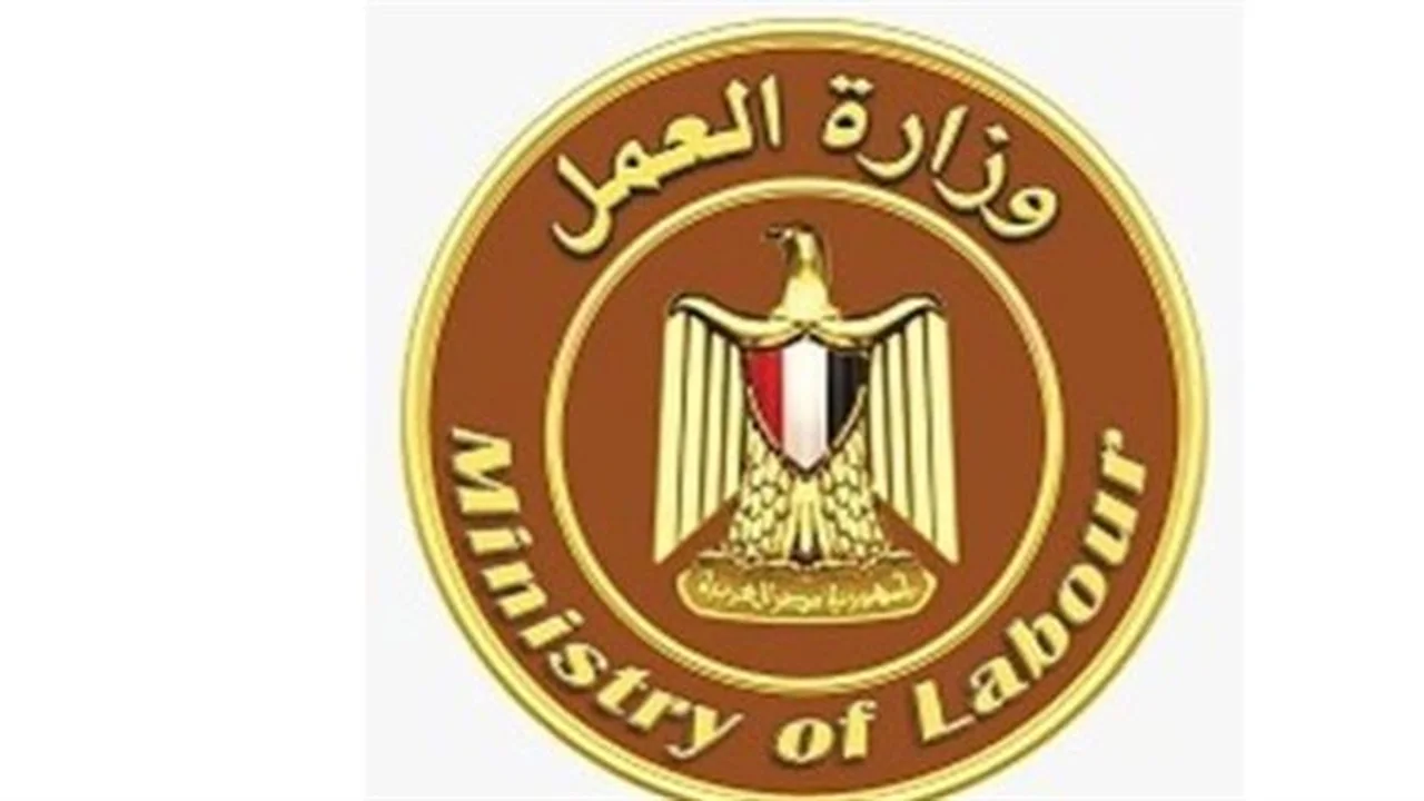 فرص عمل مغرية.. وزارة العمل تطلب 2600 عامل بمزايا سكنية وحوافز مالية